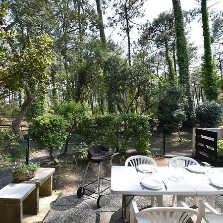 En Bordure De Foret Et Proche Des Plages